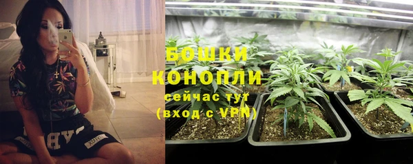 ПСИЛОЦИБИНОВЫЕ ГРИБЫ Нея