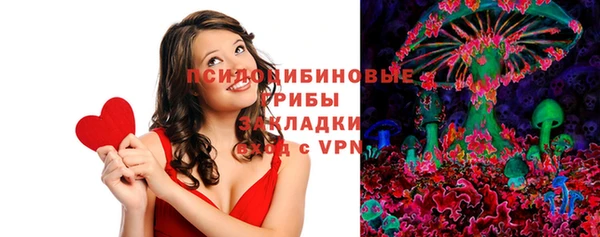 ПСИЛОЦИБИНОВЫЕ ГРИБЫ Нея