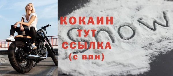 ПСИЛОЦИБИНОВЫЕ ГРИБЫ Нея