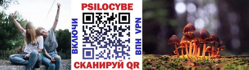 Галлюциногенные грибы ЛСД  Купить  Россошь 